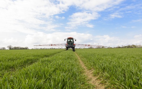 Maize: Season review and post-harvest soil management with cover